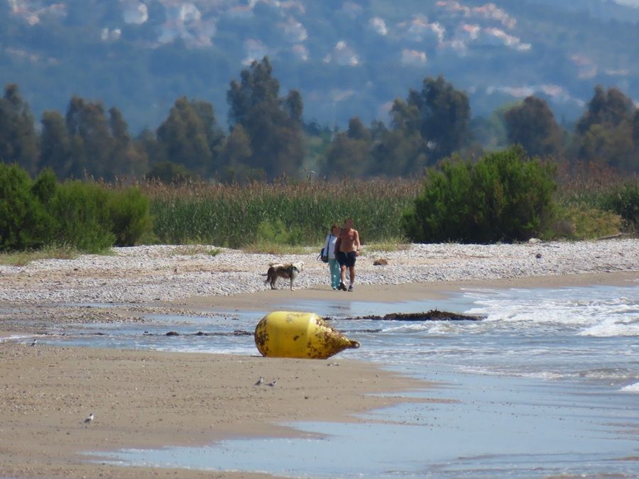 Las seis banderas negras del litoral de la Comunitat Valenciana en 2026: estas son las playas y espacios naturales señalados