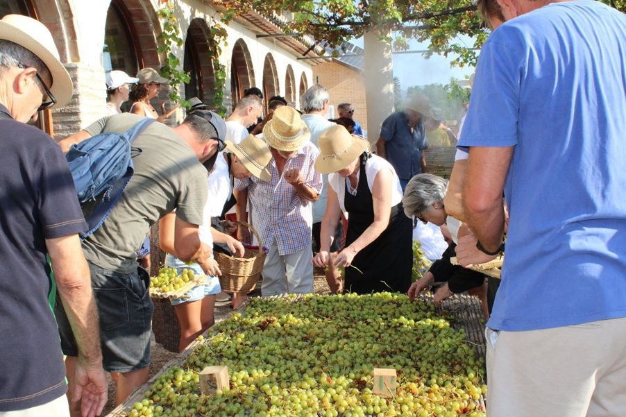 Ròtova revive la tradición de la pansa en la 6a Festa de l’Escaldà con una semana de actividades antes de la gran jornada
