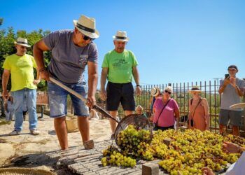 Llega la Festa del Moscatell de Teulada 2026, una cita que recupera la tradición del vino con una jornada de escaldà, cabalgata, gastronomía y música