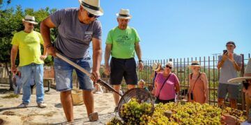 Llega la Festa del Moscatell de Teulada 2026, una cita que recupera la tradición del vino con una jornada de escaldà, cabalgata, gastronomía y música