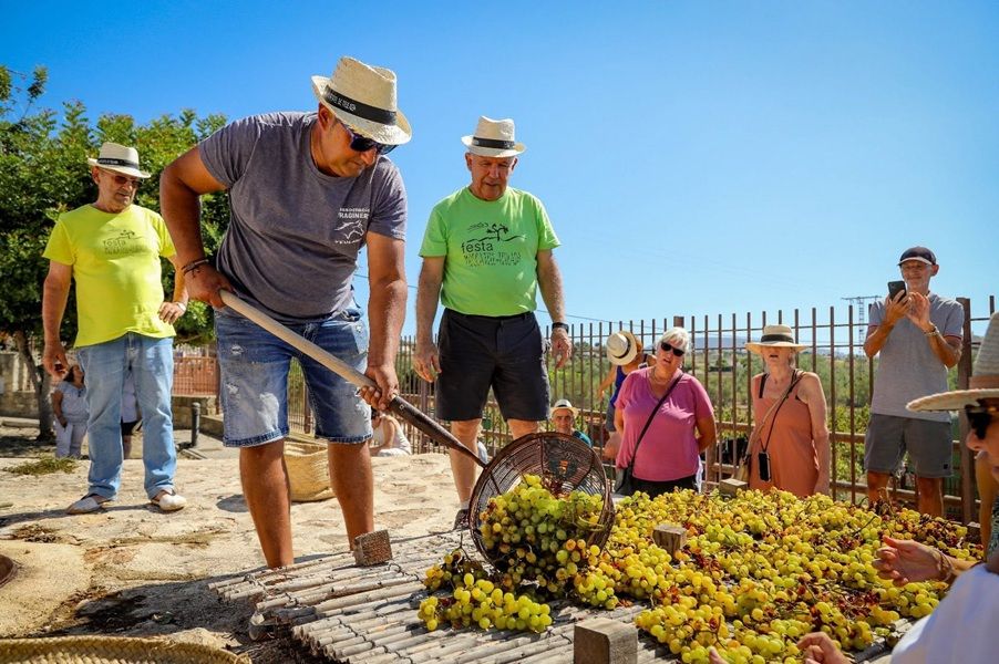 Llega la Festa del Moscatell de Teulada 2026, una cita que recupera la tradición del vino con una jornada de escaldà, cabalgata, gastronomía y música