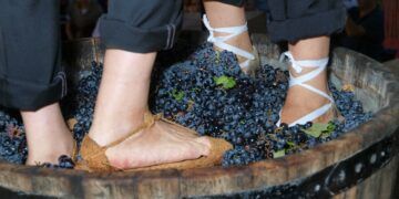Requena celebra su Feria y Fiesta de la Vendimia 2026 con vino, música, tradición y una completa programación del 19 al 30 de agosto