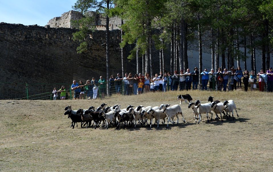 Imagen del Ajuntament de Morella de una pasada Fira de Morella.