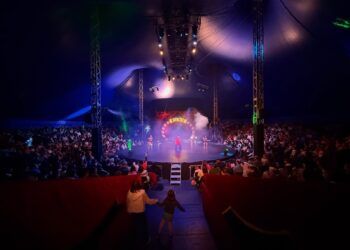 Dos circos llegan a Gandia este mes de agosto: Fofito y El Circo del Miedo compartirán una gran carpa climatizada
