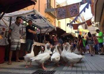 Las Fiestas de Benicarló 2026 llegan con más de 200 actos, mercado medieval y los conciertos gratuitos de Duncan Dhu, Los Rebeldes, Rebeca o Raúl
