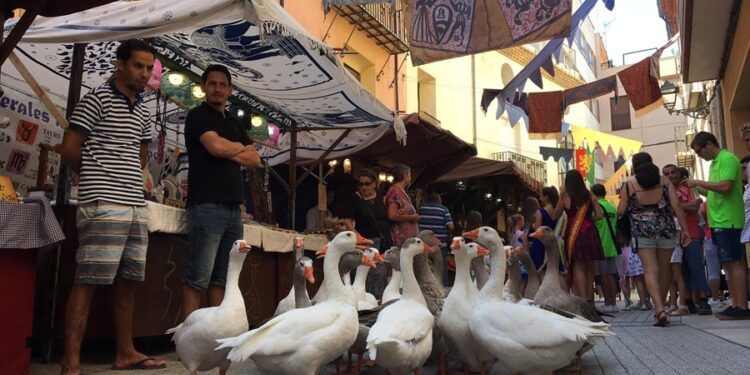 Las Fiestas de Benicarló 2026 llegan con más de 200 actos, mercado medieval y los conciertos gratuitos de Duncan Dhu, Los Rebeldes, Rebeca o Raúl