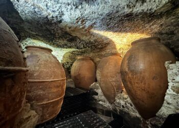 Las microbodegas de Utiel-Requena, pequeños proyectos que apuestan por el vino artesanal
