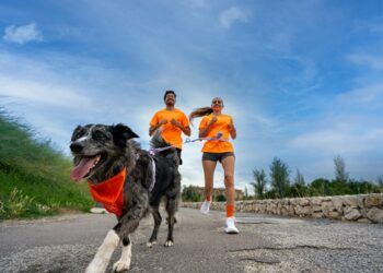 La carrera con perros solidaria llega a Valencia para ayudar a cuatro protectoras afectadas por la DANA