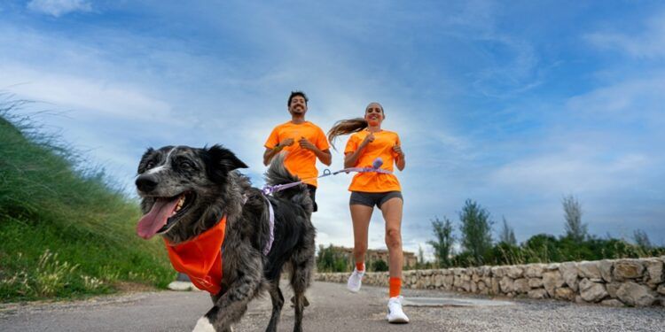 La carrera con perros solidaria llega a Valencia para ayudar a cuatro protectoras afectadas por la DANA