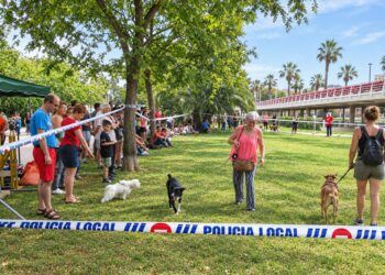 Valencia prepara dos grandes citas gratuitas en octubre por el Día Mundial de los Animales: una jornada educativa y la Feria de los Animales