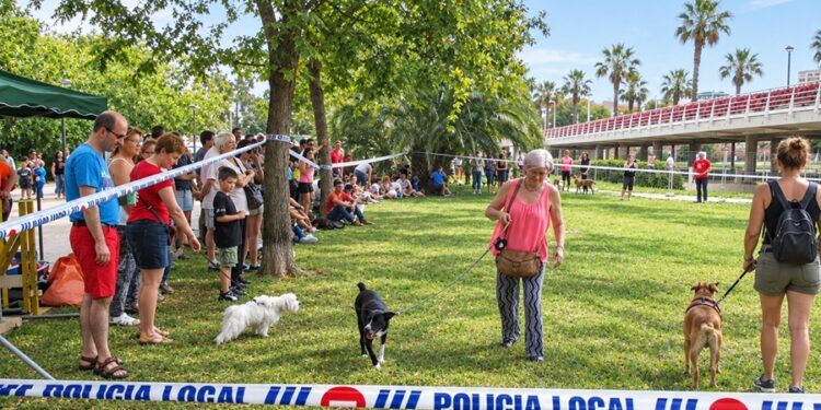 Valencia prepara dos grandes citas gratuitas en octubre por el Día Mundial de los Animales: una jornada educativa y la Feria de los Animales