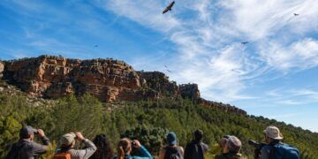 El Festival de los Buitres de Tuéjar vuelve con rutas, talleres y actividades de naturaleza, algunas de ellas gratuitas