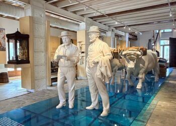 El nuevo Museu de la Mar de Valencia ofrece visitas guiadas gratuitas todos los sábados de octubre