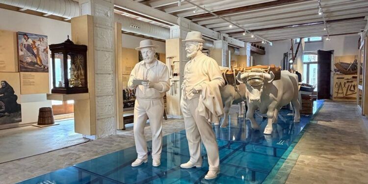 El nuevo Museu de la Mar de Valencia ofrece visitas guiadas gratuitas todos los sábados de octubre