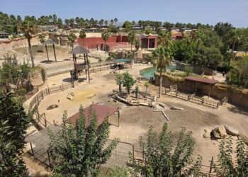 Así es Terra Natura Benidorm, una escapada entre animales de todo el mundo a una hora y media de Valencia