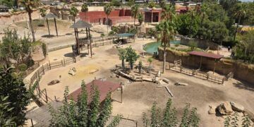 Así es Terra Natura Benidorm, una escapada entre animales de todo el mundo a una hora y media de Valencia