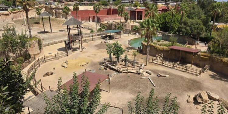 Así es Terra Natura Benidorm, una escapada entre animales de todo el mundo a una hora y media de Valencia