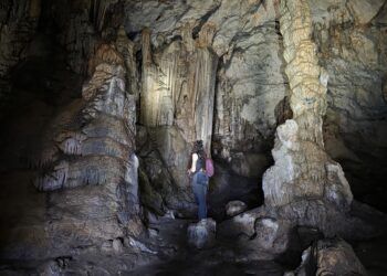 La Cova de les Meravelles de Gandia, una joya protegida con formaciones vivas y grabados paleolíticos