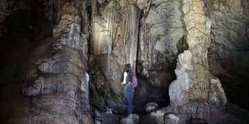 La Cova de les Meravelles de Gandia, una joya protegida con formaciones vivas y grabados paleolíticos