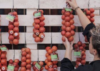 La gran fiesta de la Tomata de Penjar vuelve este fin de semana a Alcalà de Xivert con dos días de gastronomía y actividades