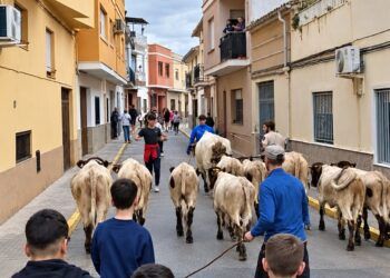 Barxeta celebra la Fira de la Tardor i de Roders con artesanía, gastronomía y actividades gratuitas para toda la familia