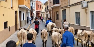 Barxeta celebra la Fira de la Tardor i de Roders con artesanía, gastronomía y actividades gratuitas para toda la familia