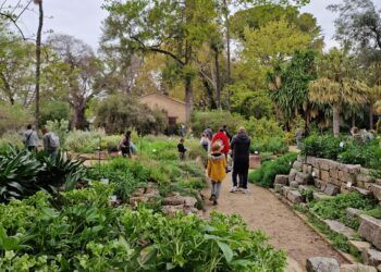 El Jardín Botánico de Valencia abre gratis durante tres días de esta semana con visitas guiadas sin reserva previa