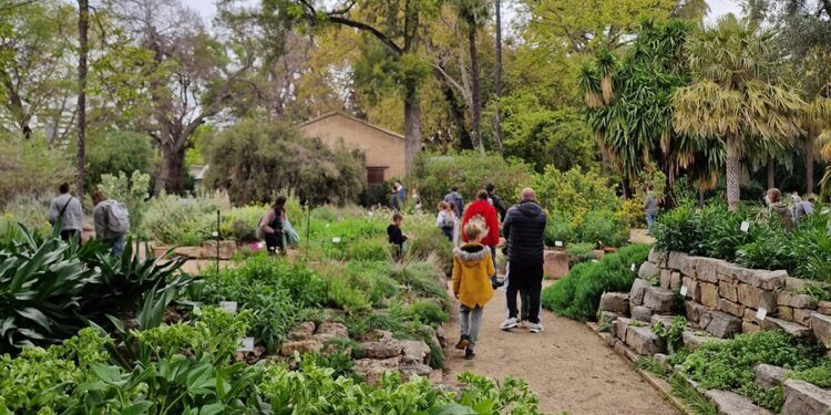 El Jardín Botánico de Valencia abre gratis durante tres días de esta semana con visitas guiadas sin reserva previa