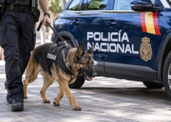 La Policía Nacional acerca sus unidades y su trabajo a las familias en Valencia con tres días de actividades gratuitas