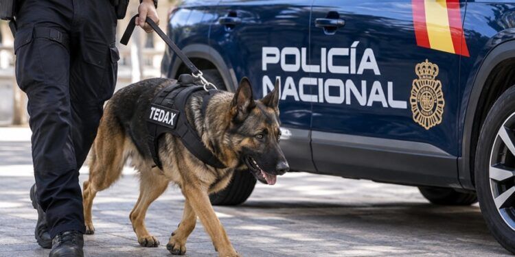 La Policía Nacional acerca sus unidades y su trabajo a las familias en Valencia con tres días de actividades gratuitas