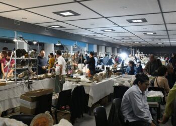 Minerval 2026 llega en noviembre: la gran feria de minerales, fósiles y gemas vuelve a Valencia con entrada gratuita