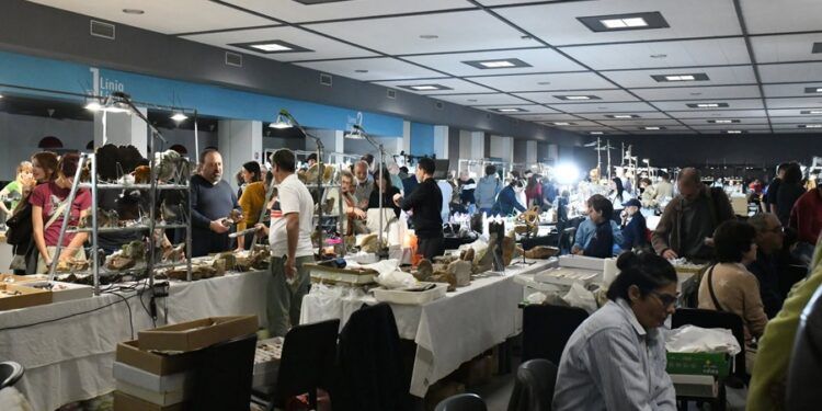 Minerval 2026 llega en noviembre: la gran feria de minerales, fósiles y gemas vuelve a Valencia con entrada gratuita
