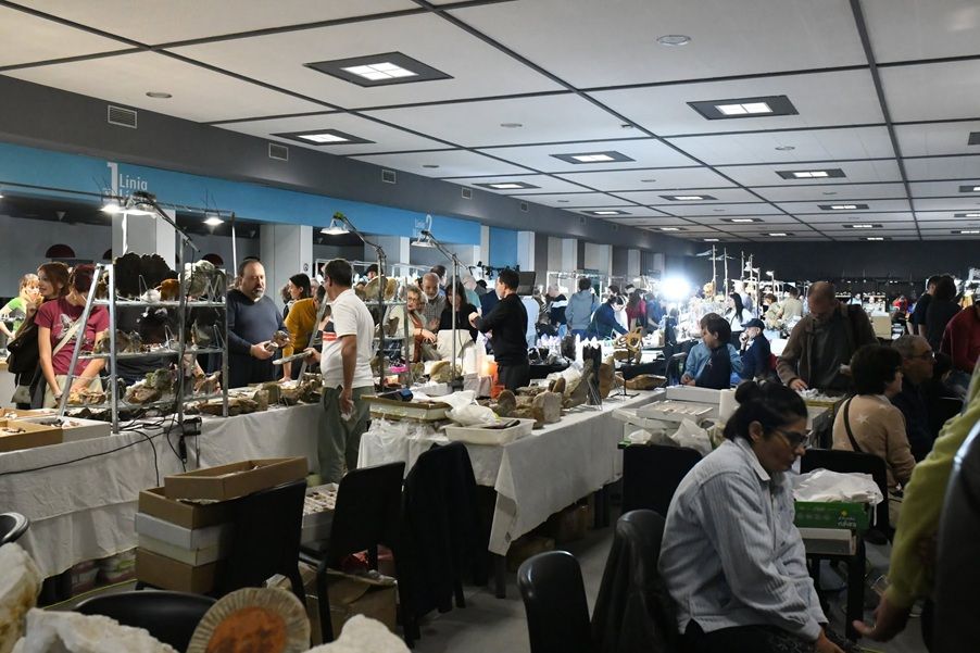 Minerval 2026 llega en noviembre: la gran feria de minerales, fósiles y gemas vuelve a Valencia con entrada gratuita
