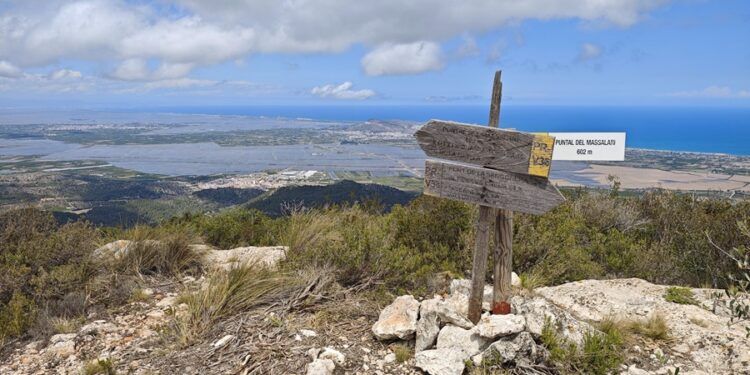 La Ribera del Xúquer propone 12 rutas guiadas gratuitas en otoño para descubrir sus parajes naturales