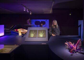 El IVAM estrena una exposición de la artista Melanie Smith sobre dos especies amenazadas y recupera sus conciertos gratuitos
