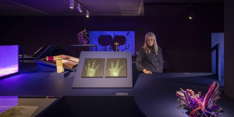 El IVAM estrena una exposición de la artista Melanie Smith sobre dos especies amenazadas y recupera sus conciertos gratuitos