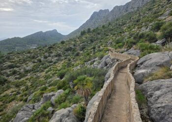 El Morro de les Coves y la senda de la acequia de Segària, una bella ruta senderista por la solana del gigante de piedra dormido